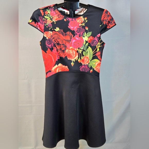 Ted Baker London Floral Xylee Designer Chic Midi Dress, Size 2 - Picture 2 of 6